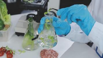 A person in a lab coat is holding a glass with a plant in it video