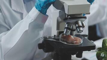 A person in a lab coat is looking at a microscope video