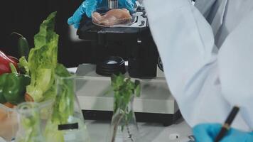 A person in a lab coat is looking at a microscope video
