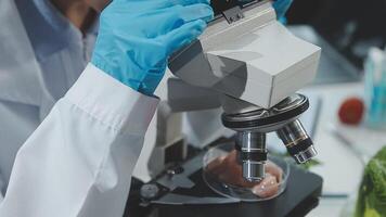 A person in a lab coat is looking at a microscope video