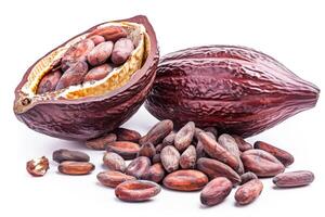 A close up of two chocolate pods with a pile of chocolate beans on top. photo