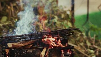 Burning Wood Branches Fire and Smoke in a Barbecue video