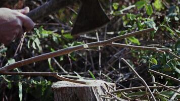 Slow Motion Chop Down Tree Branches With an Axe video