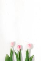 Flat lay with pink tulips and pink confetti on a white background and copy space. Mother's day photo