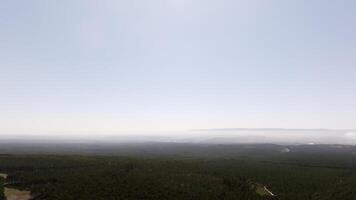Haze gently envelops a forest landscape, creating a serene atmosphere over the trees and sky on a sunny summer day video