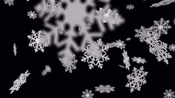 Snowflakes falling down effect animated. 3D Snowflakes falling twirl clear and blurred with transparent background RGB Alpha. Seamless loop animation. video