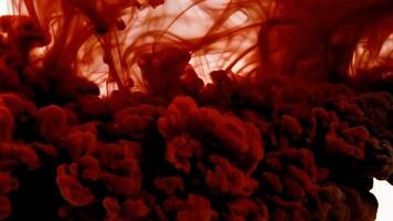 Red ink in water on white background video