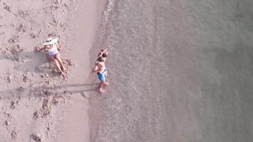 Top view of a family relaxing on the beach video