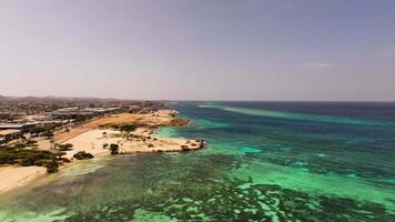 Antenne Aussicht von ein schön Strand auf das Karibik Insel von Aruba video