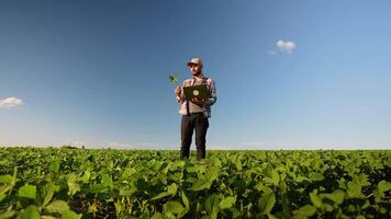 Farm worker with laptop inspecting soy at field video