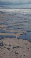 Beach and ocean are polluted with oil. Oil spill cleanup. Vertical footage video