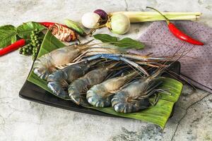 Fresh prawns on a plate with herbs and spices photo