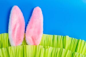 top view of fluffy bunny ears emerging from green crepe paper on blue backdrop, horizontal format photo
