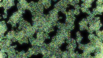 Abstract Microscopic Pattern Rich in Vibrant Colors and Intricate Details and Designs. Motion video