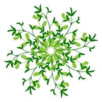 Intricate green floral design with leafy patterns radiating from a central point vector