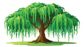 arge tree with green leaves stands alone on a white background. The tree is the main focus of the image, and its size and color contrast vector