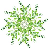 Intricate green floral pattern showcasing delicate leaves in circular arrangement vector