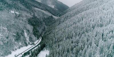 Snowy hill with tree forest, fantastic winter season, tree hill, snowy and frozen view, weather aerial video