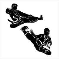 Two men doing karate on a white background vector
