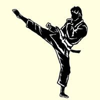 Karate man illustration vector