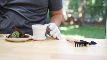 Gardening Enthusiast Carefully Repotting a Small Cactus in a White Pot with Gardening Tools on a Wooden Table in a Peaceful Outdoor Setting video