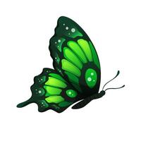 Bright green butterfly in neon colors. Colorful winged insect on white background. isolated element vector
