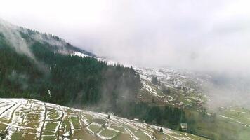 Early spring in mountain, first green grass on meadows, thick fog or cloudscape, springtime outdoor, lush countryside, atmospheric fog-covered, green meadows and seasonal fresh growth video