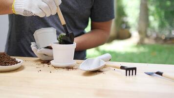 3Gardening Enthusiast Carefully Repotting a Small Cactus in a White Pot with Gardening Tools on a Wooden Table in a Peaceful Outdoor Setting video