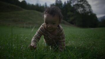 A Curious Baby Joyfully Crawling Around in the Beautiful Nature with a Sense of Adventure video