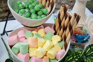a table with a bowl of marshmallows and candy sticks photo