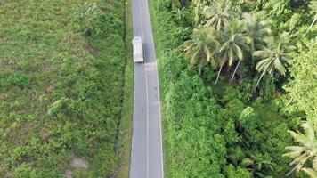 Aerial View of Truck on Tropical Road video