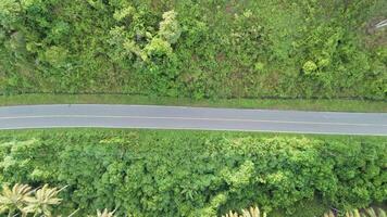 Aerial View of a Winding Road Through Lush Green Tropical Forest video