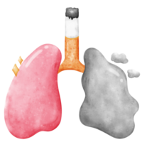 cancer lung and healthy lung with cigarette png