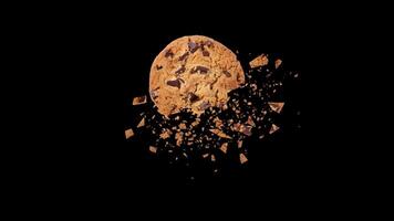 Chocolate Chip Cookie Breaking Animation. Dynamic Shatter Effect on Cookie Alpha Channel Stock Animation video