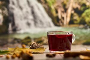A glass of tea with autumn leaves and a waterfall in the background photo