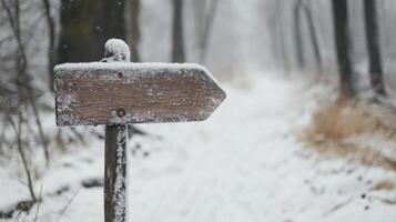 Snow-Dusted Trail Signpost photo