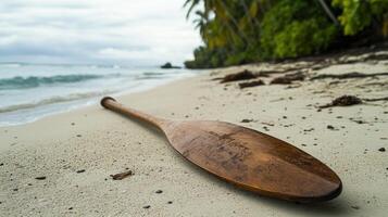 Abandoned Canoe Paddle on Beach photo