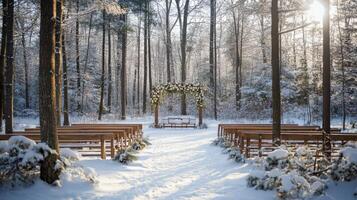 Elegant Winter Wedding in Snowy Forest photo