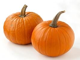 two pumpkins on a white background photo