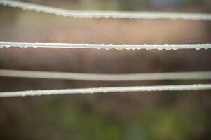water drops on a rope. close-up one line in sharp focus, others are blurred. raindrops on a line photo