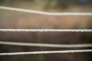 water drops on a rope. close-up one line in focus, others are blurred. raindrops on a line. many lines from a rope in a photo