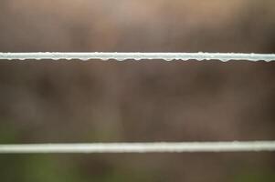 water drops on a rope. close-up one line in focus, the second is blurred. raindrops on a line, only two lines in the photo
