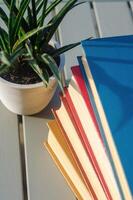 Stack of colorful books and a potted plant on a wooden table in sunlight. High quality photo