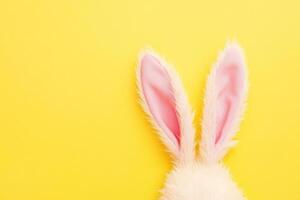 White fluffy bunny ears peek from edge on vibrant yellow background photo