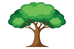 A green tree. vector