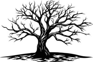 A Illustration of a Bare, Majestic Tree vector