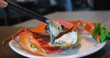 Crab oyster chopsticks sauce crab is delicious and delicious video
