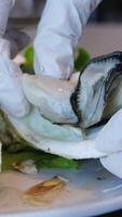 The hands of a chef in black gloves with a knife are cutting bivalve sea oysters from the sea. Healthy delicacy food in a restaurant, close-up video