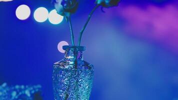 A vase with a single rose in it video