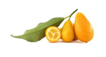 Fresh kumquats with leaf and a half fruit showing the pulp photo